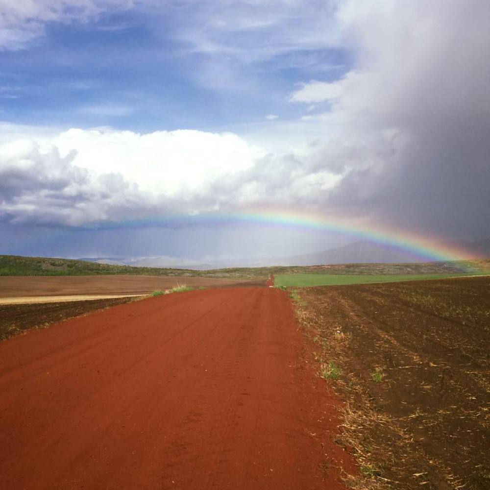 Meet your Posher, Stephenie